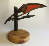 Toucan